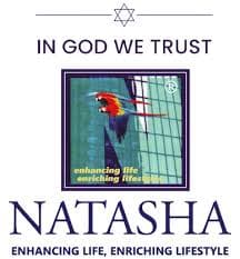 Natasha Developers logo panel